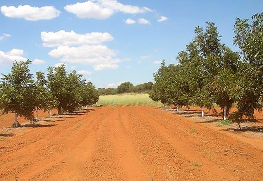 3 Bedroom Property for Sale in Hartswater Rural Northern Cape